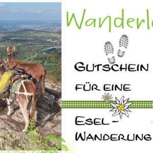 Gutschein für eine Esel-Wanderung