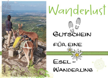 Gutschein für eine Esel-Wanderung