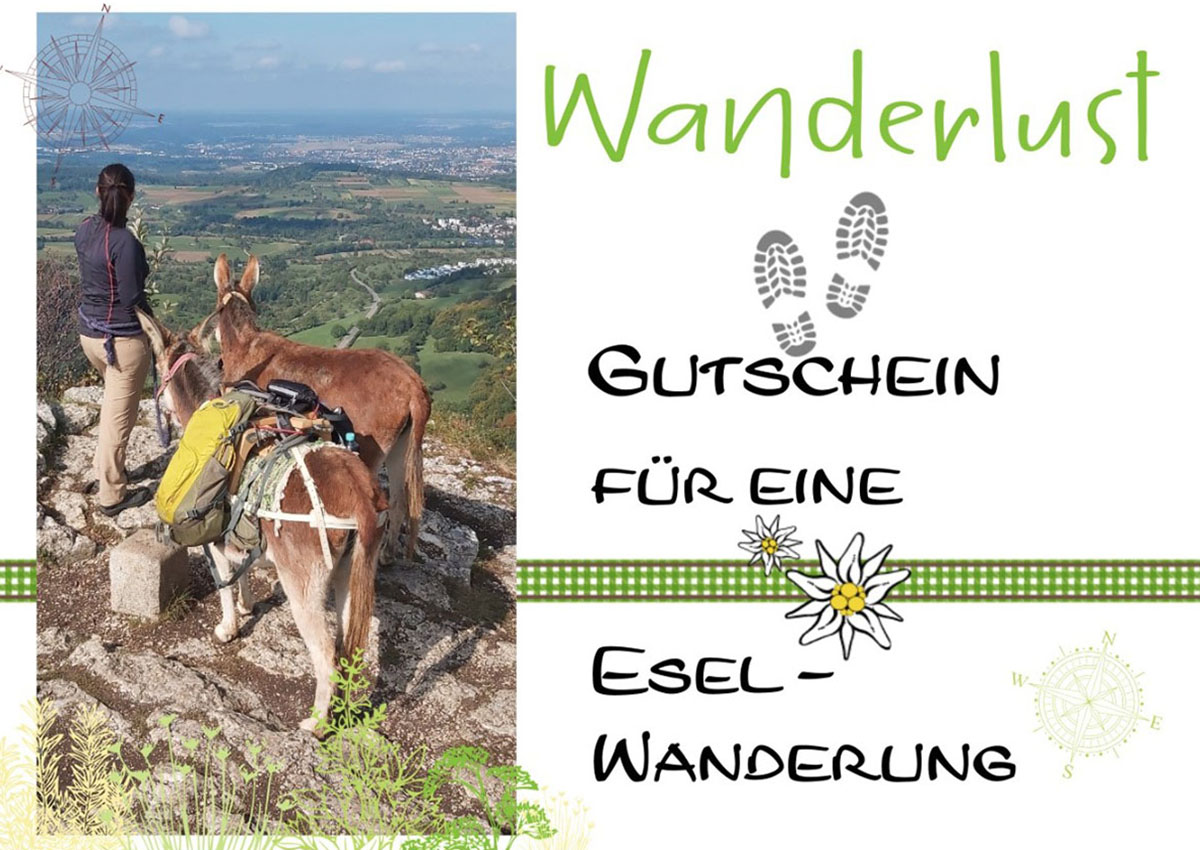 Gutschein für eine Esel-Wanderung