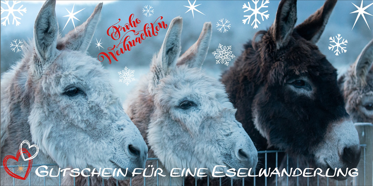 Frohe Weihnachten - Gutschein für eine Eselwanderung