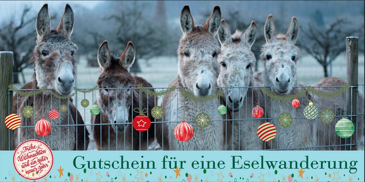 Frohe Weihnachten und ein gutes neues Jahr - Gutschein für eine Eselwanderung